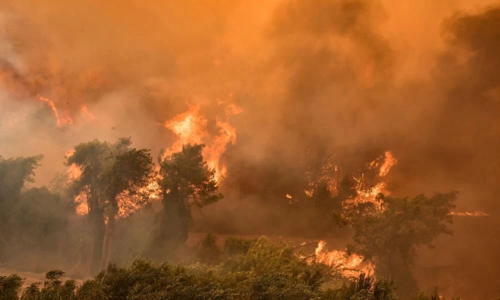 Γενοκτονικό σχέδιο της Άγκυρας: Ο τουρκικός στρατός καίει ανεξέλεγκτα τα δάση για να εξαλείψει τους Κούρδους